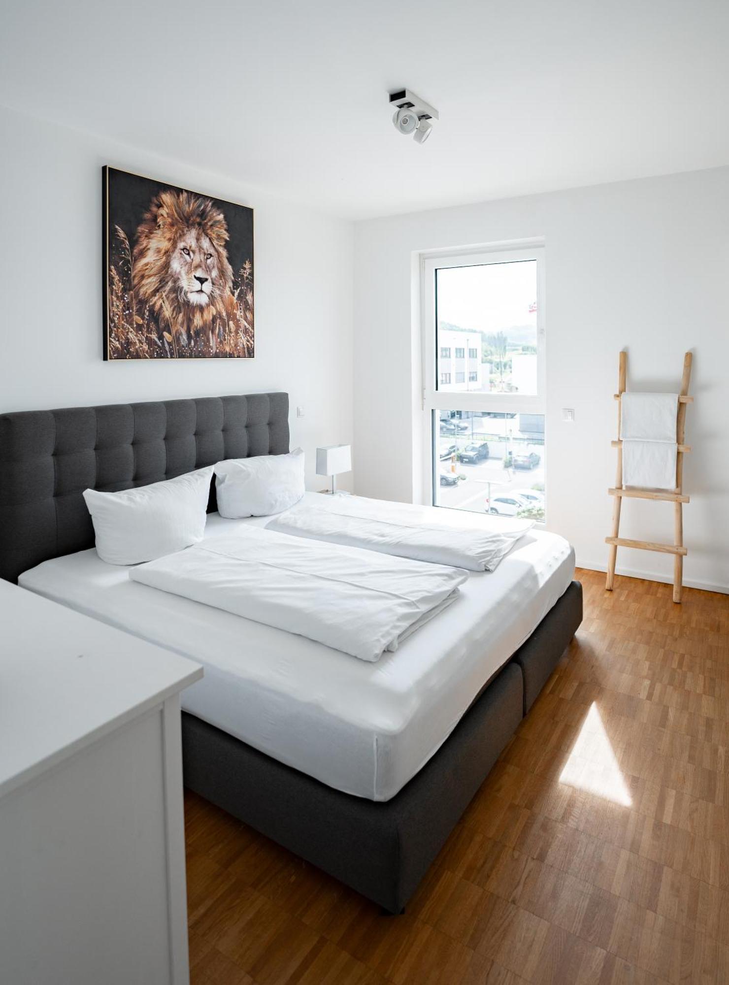Prime Park Family Deluxe Apartment อาชาฟเฟนบวร์ก ภายนอก รูปภาพ